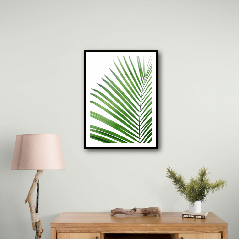 Green Palm Leaf