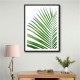 Green Palm Leaf