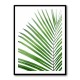 Green Palm Leaf