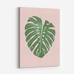 Monstera Leaf Blush