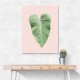 Tropical Leaf Blush