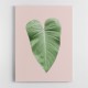 Tropical Leaf Blush