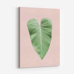 Tropical Leaf Blush