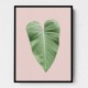 Tropical Leaf Blush