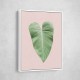 Tropical Leaf Blush