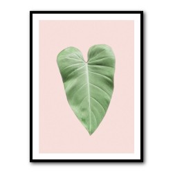 Tropical Leaf Blush