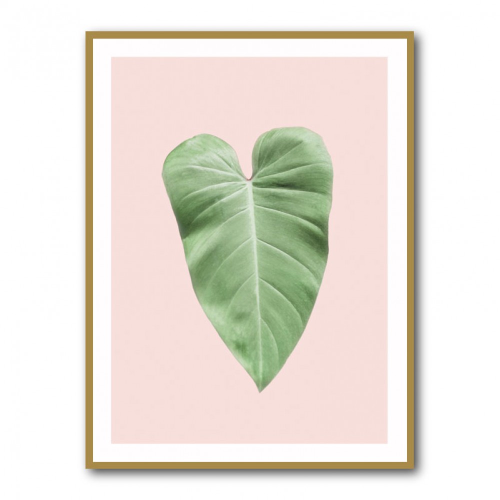 Tropical Leaf Blush