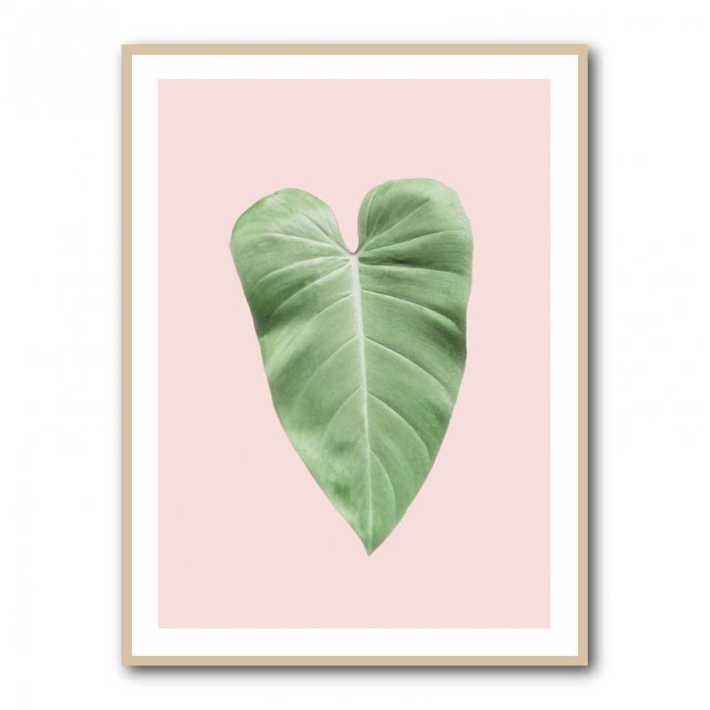 Tropical Leaf Blush