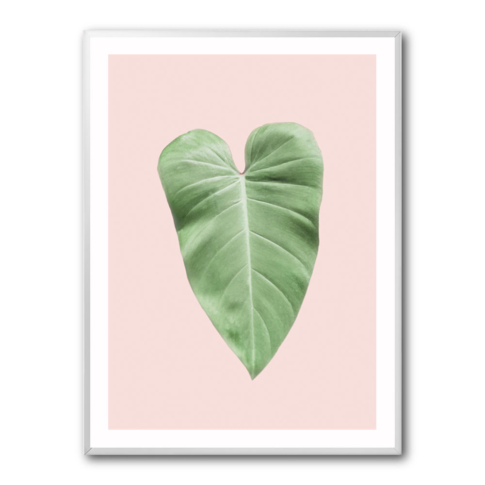 Tropical Leaf Blush