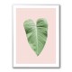 Tropical Leaf Blush