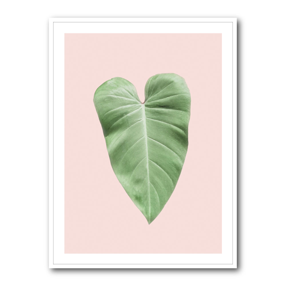 Tropical Leaf Blush