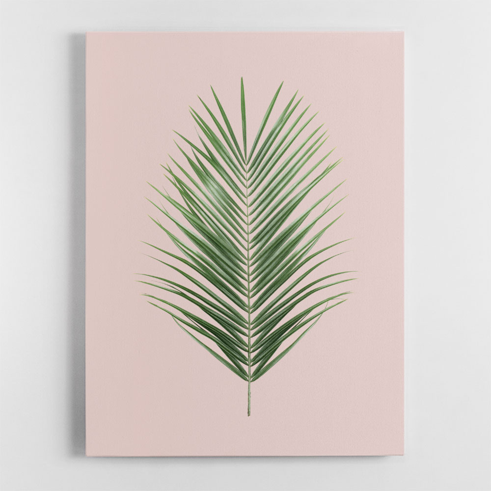 Palm Leaf Blush