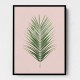 Palm Leaf Blush