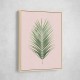 Palm Leaf Blush