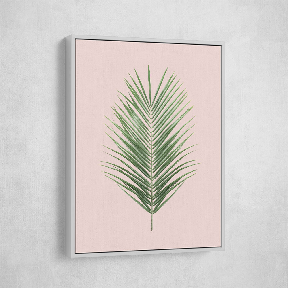 Palm Leaf Blush