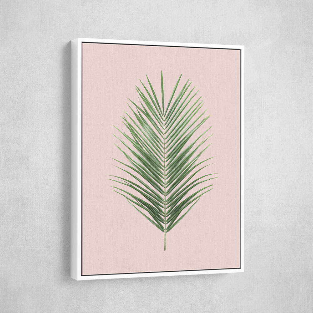 Palm Leaf Blush