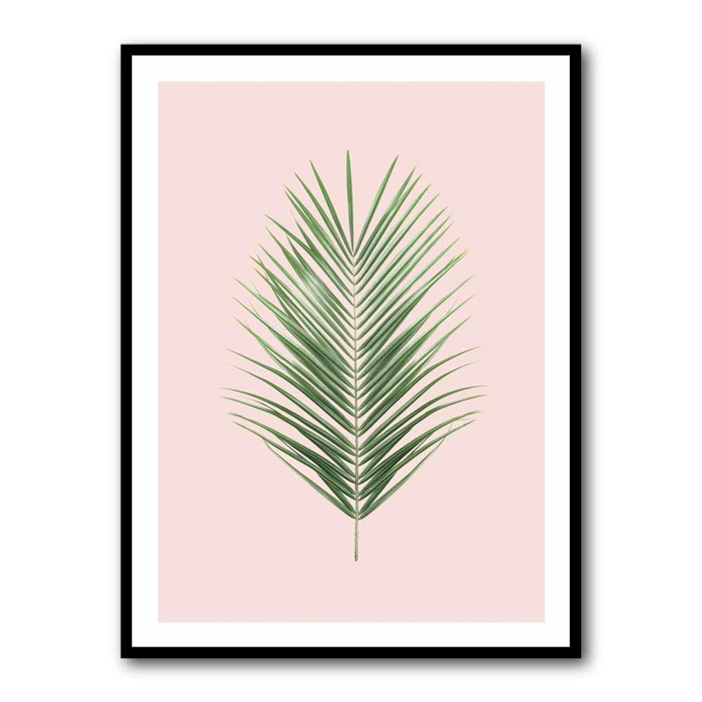 Palm Leaf Blush