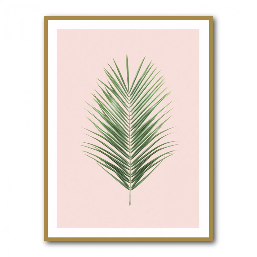 Palm Leaf Blush