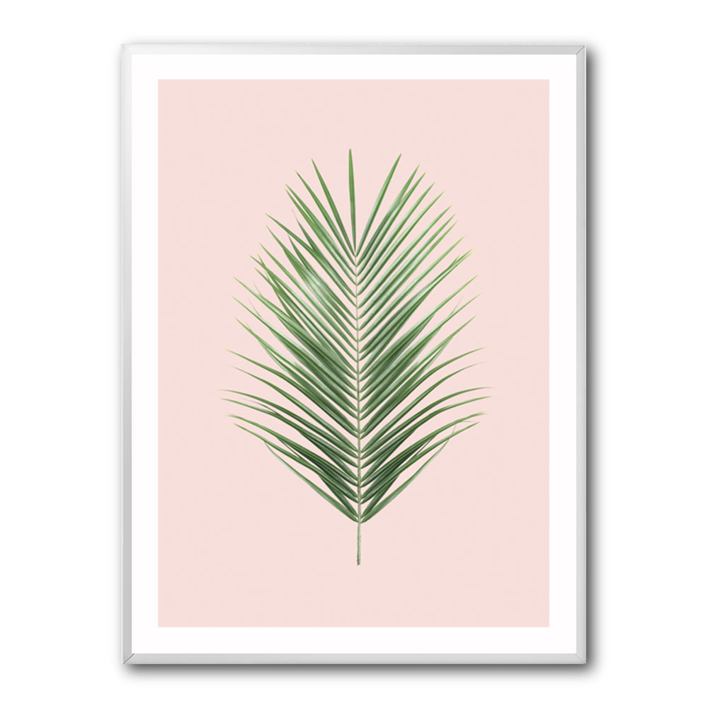 Palm Leaf Blush