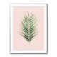 Palm Leaf Blush