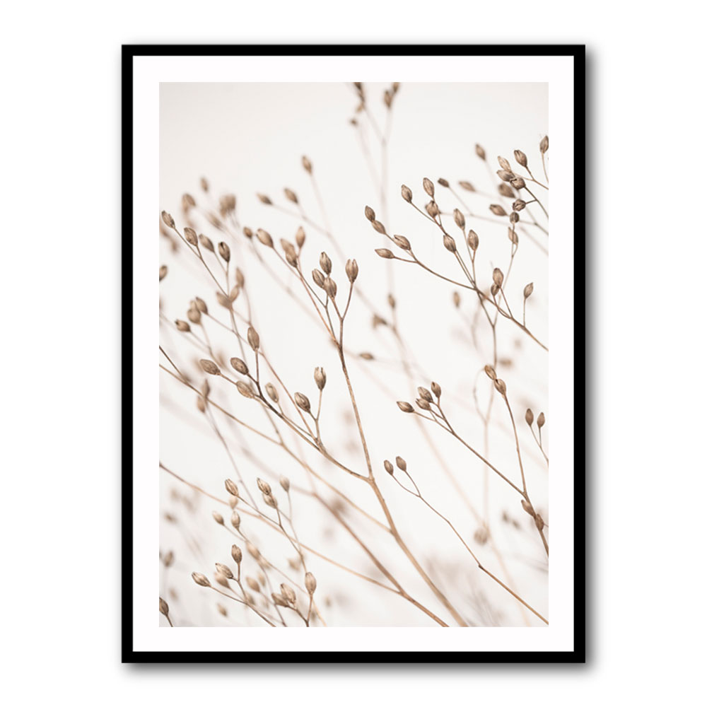 Wild Grass