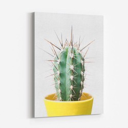 Spikey Cactus