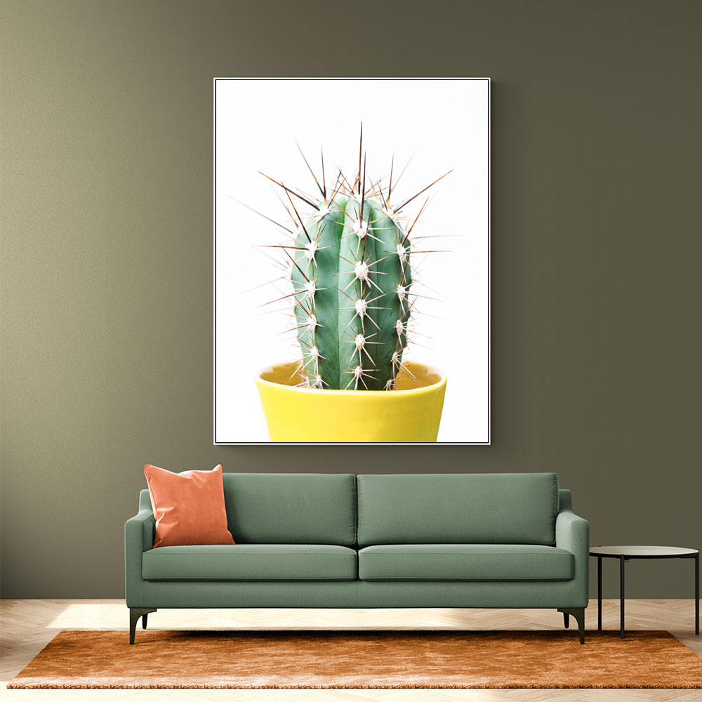 Spikey Cactus