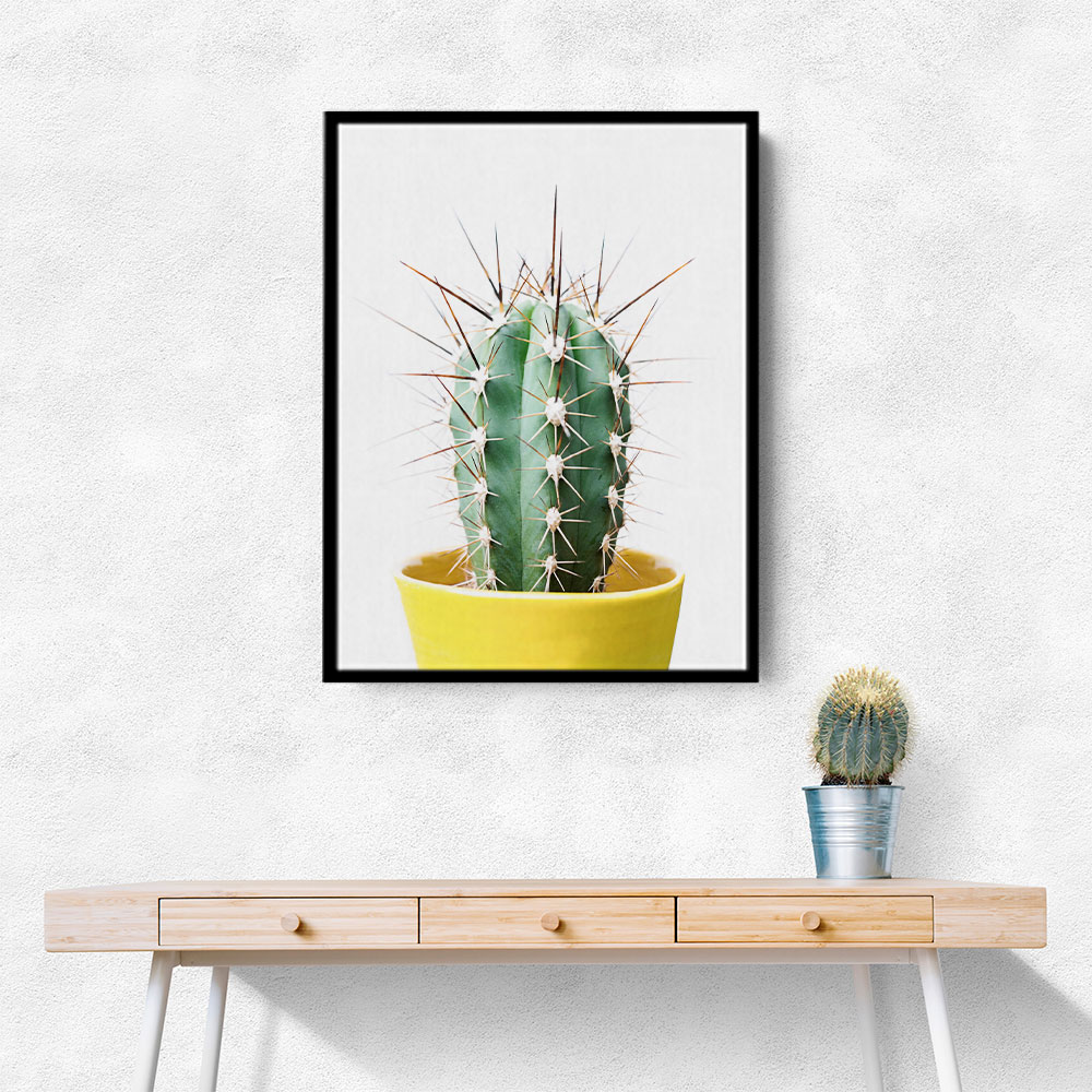Spikey Cactus