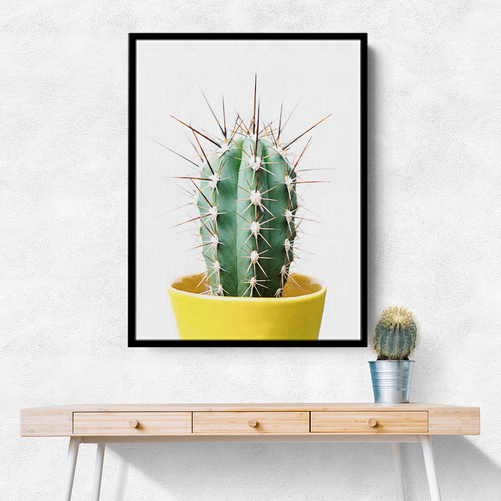 Spikey Cactus