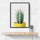 Spikey Cactus