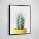 Spikey Cactus