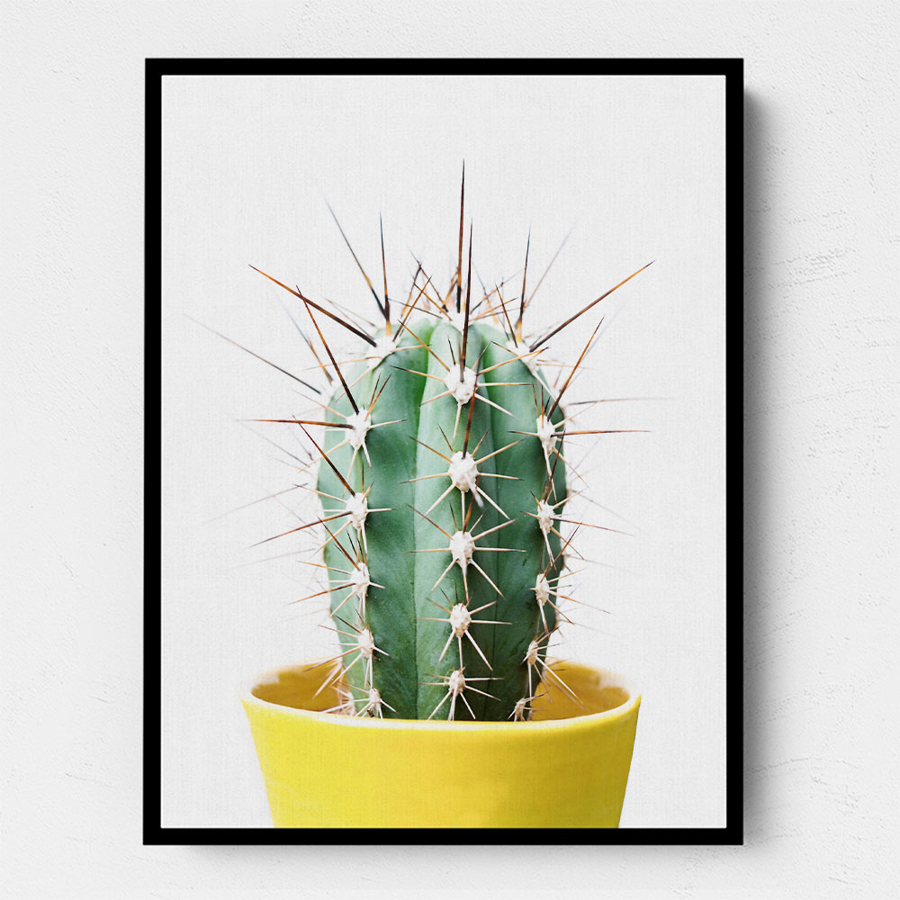 Spikey Cactus