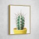 Spikey Cactus