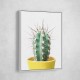 Spikey Cactus