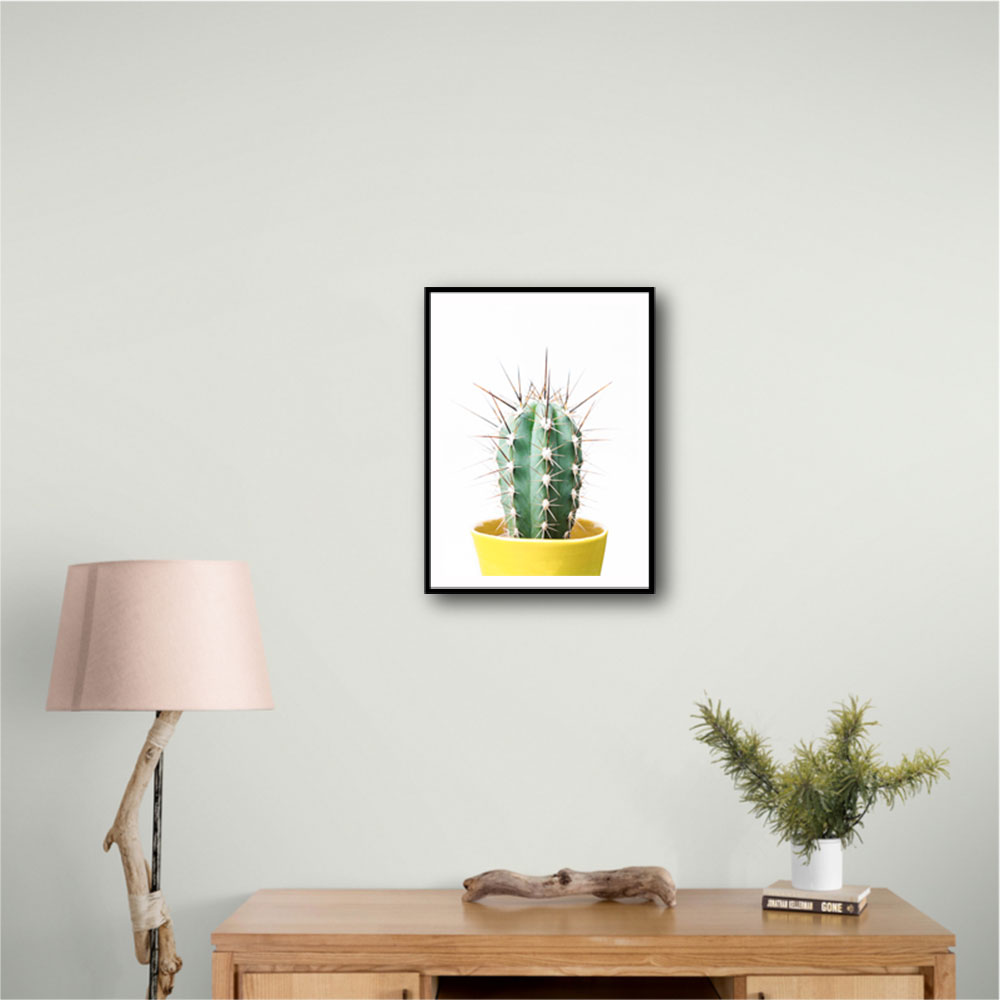 Spikey Cactus