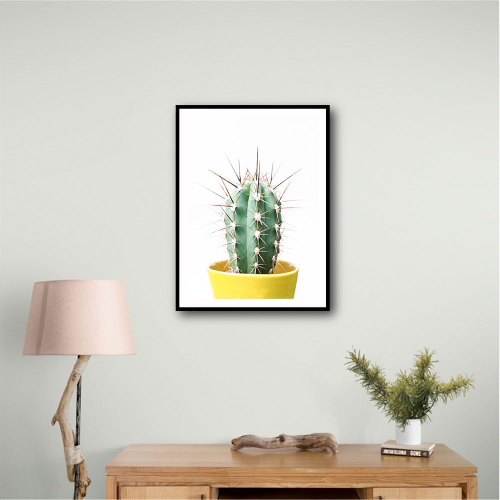 Spikey Cactus