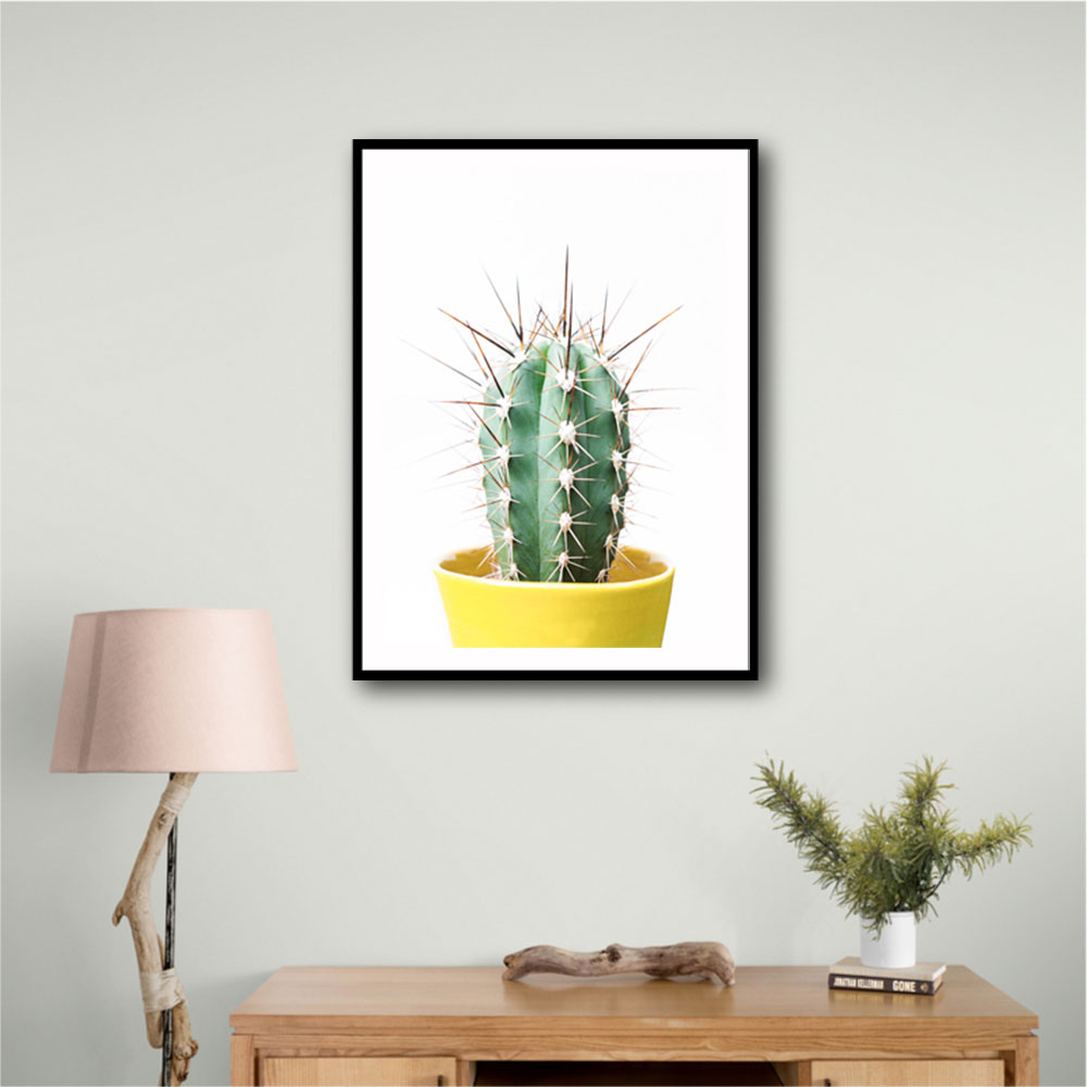 Spikey Cactus