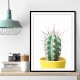 Spikey Cactus