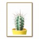 Spikey Cactus