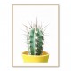 Spikey Cactus