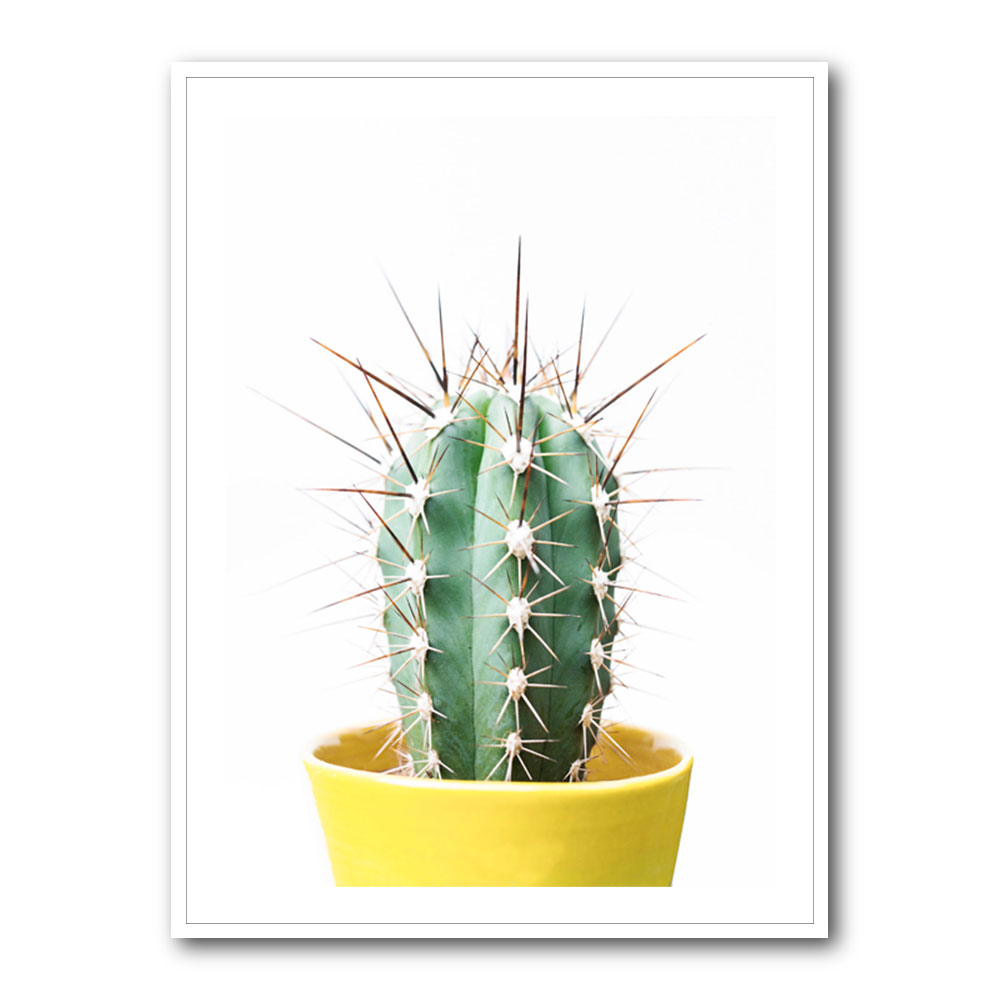 Spikey Cactus