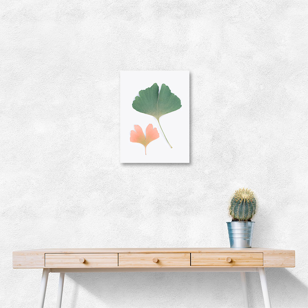 Pastel Ginkgo