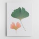 Pastel Ginkgo