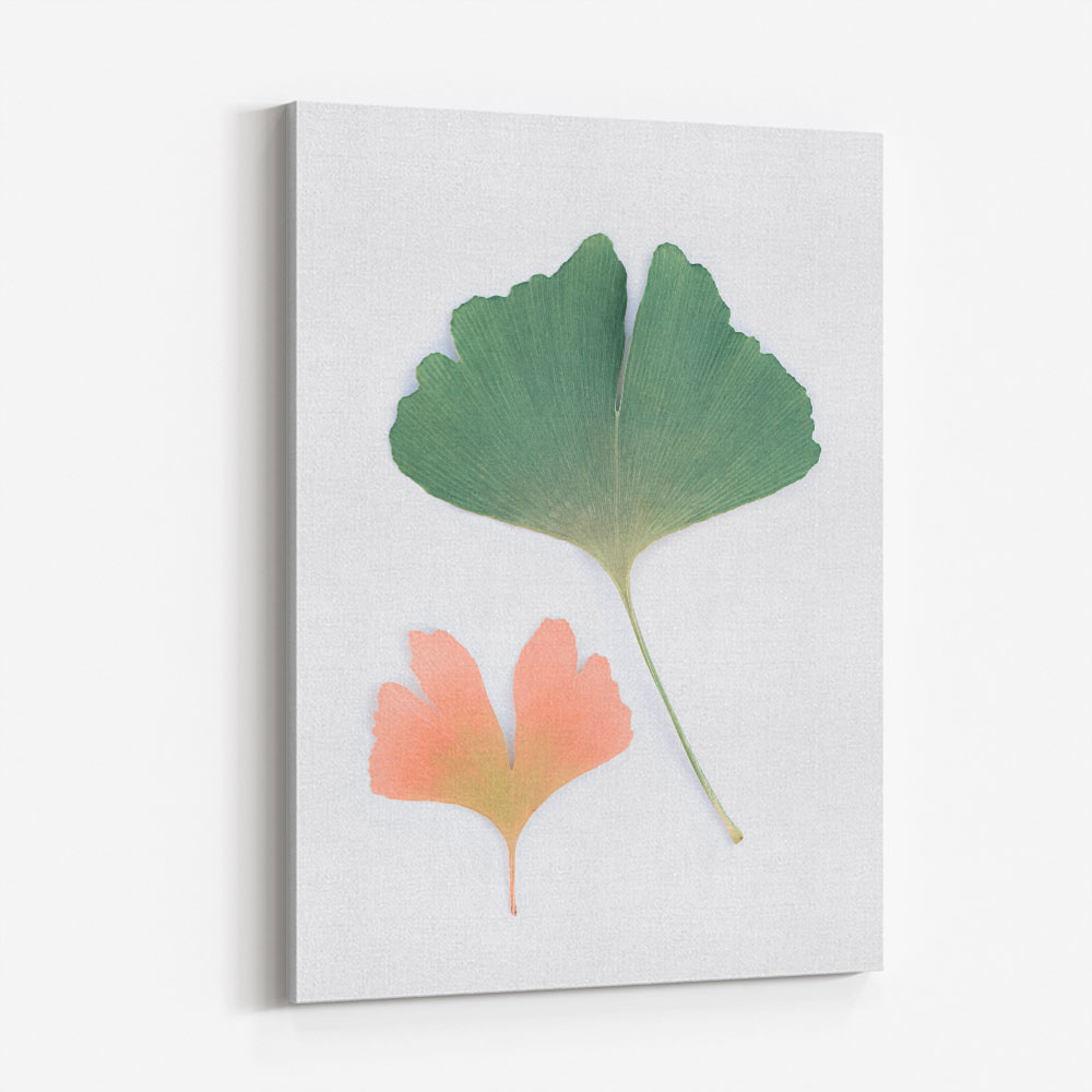 Pastel Ginkgo