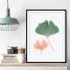 Pastel Ginkgo