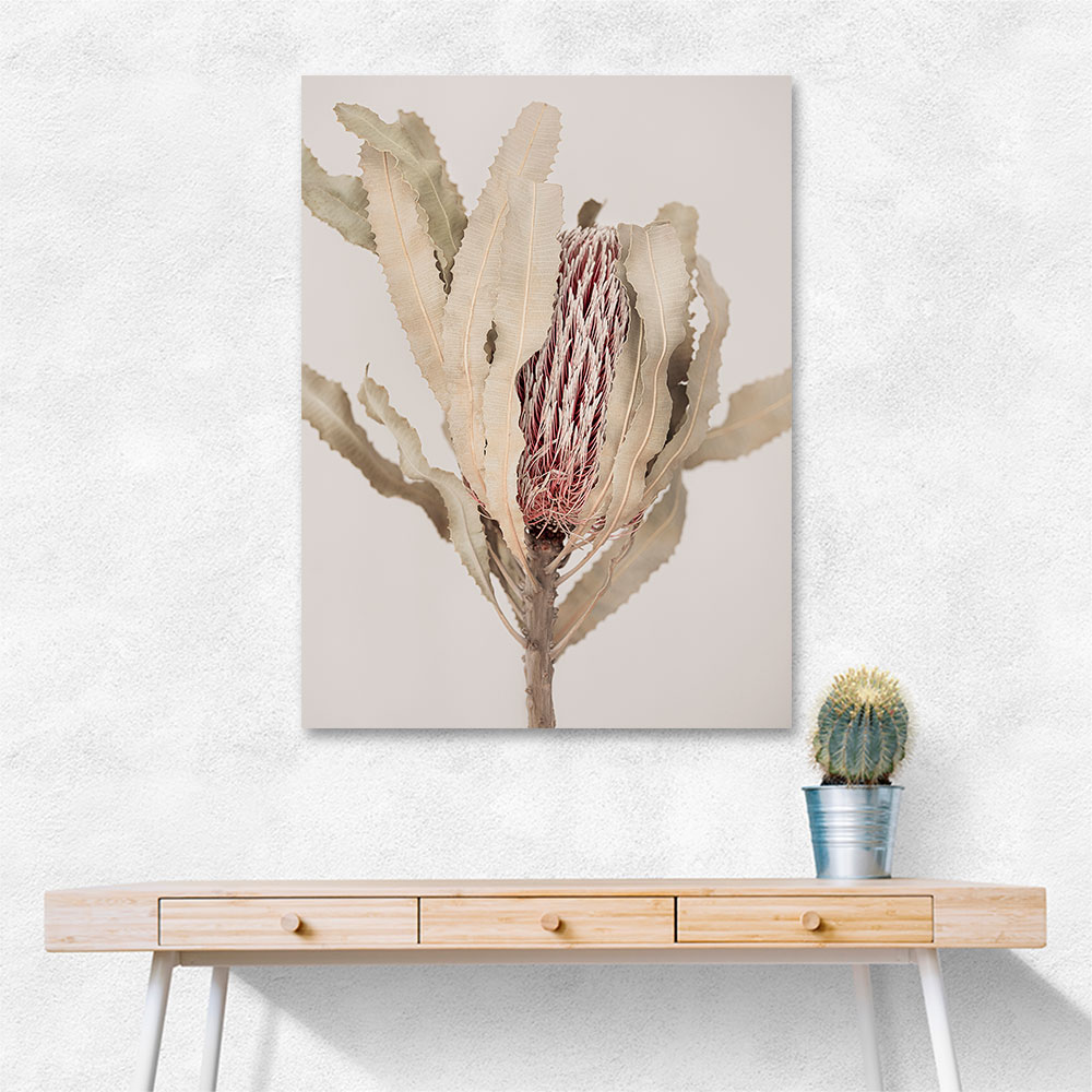 Banksia