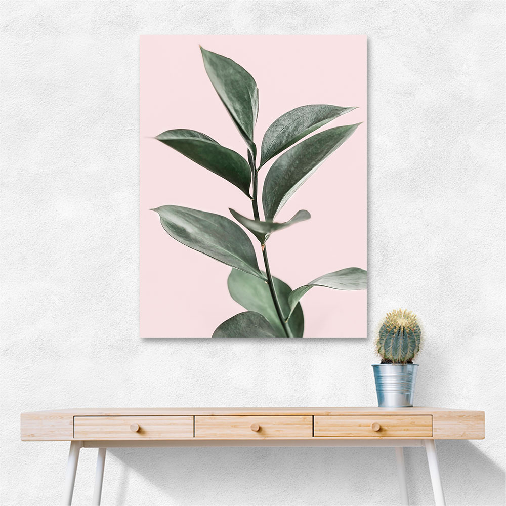 Foliage on Pink