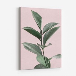 Foliage on Pink