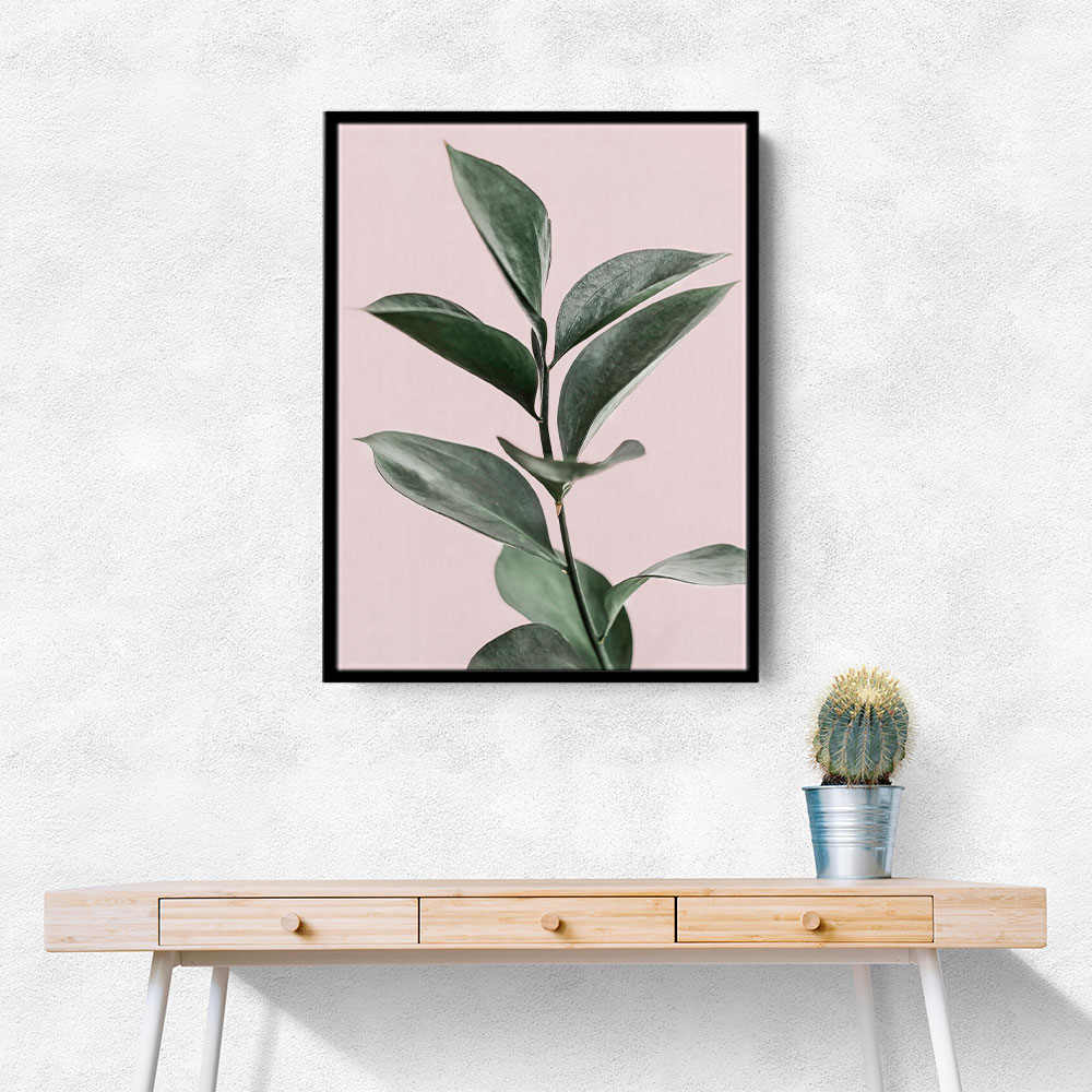 Foliage on Pink