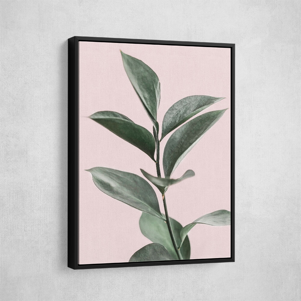 Foliage on Pink